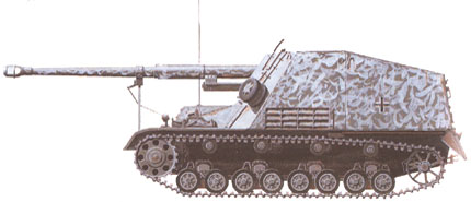 Picture of a Nashorn/Hornisse